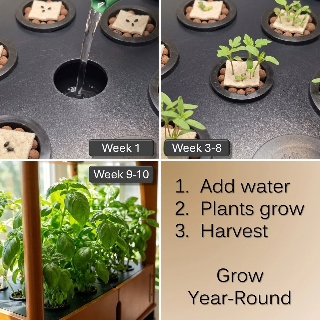 Chef’s Organic Set - Hydroponic Bundle